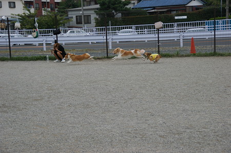 DSC02771