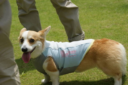 DSC06009
