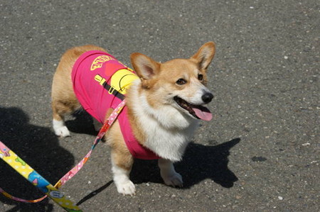 DSC06075