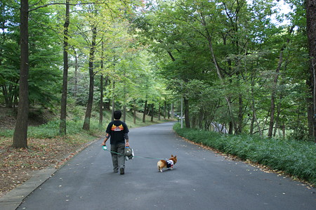 DSC02968