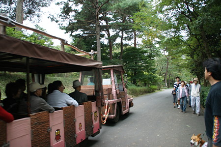 DSC03099