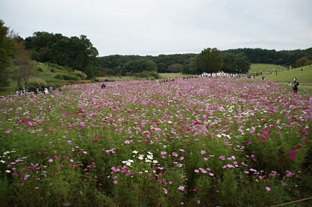DSC03129