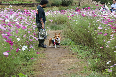 DSC03147