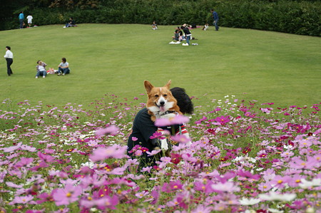 DSC03158