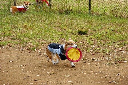DSC03371