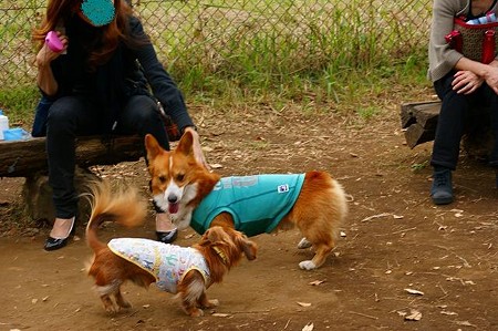 DSC03400
