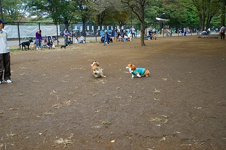DSC03416