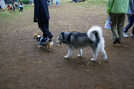 DSC03422
