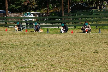 DSC03658