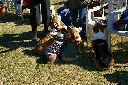 DSC03709