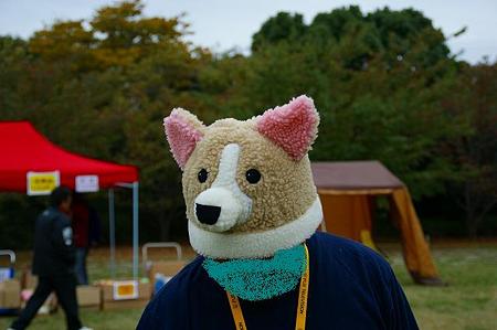 DSC03964