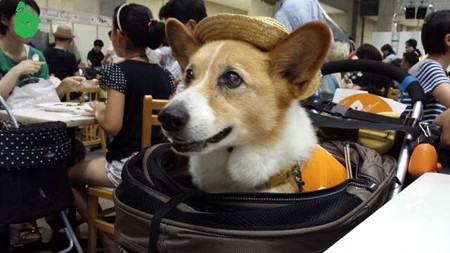 20140727_125434