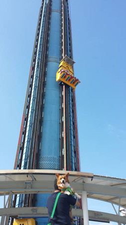 20140831_145441