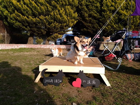 IMG_20160103_145118