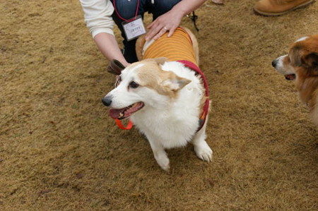 DSC05400