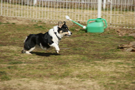 DSC05548