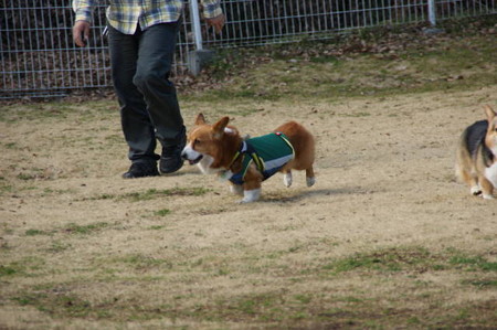 DSC05583