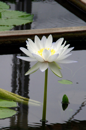 IMGP9708