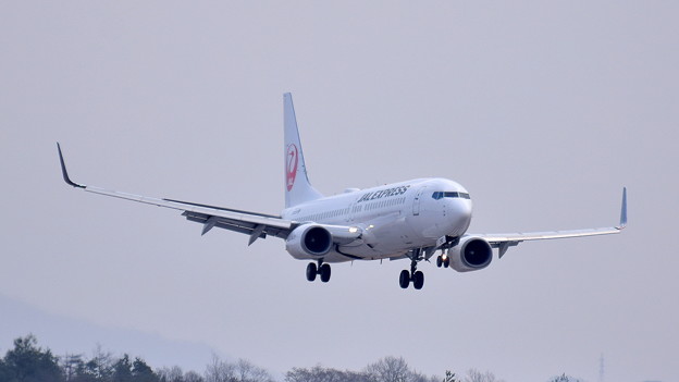 JA316J_B-737-4