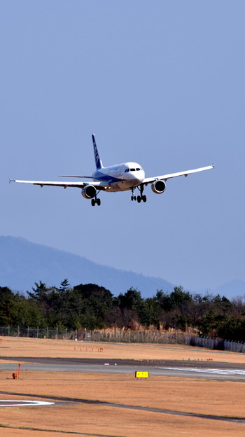 ANA エアバスA320-211（JA8654）-2