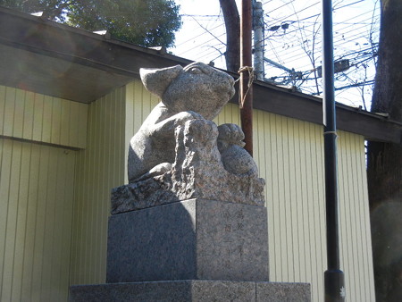 狛兎さん、右