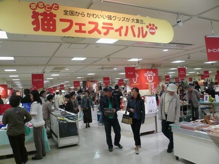 猫フェスティバル