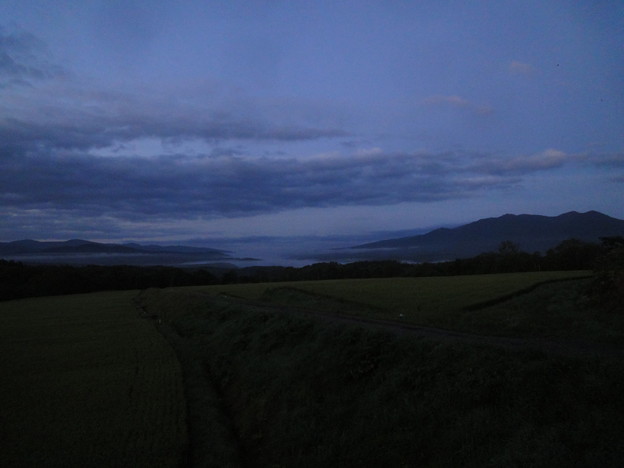 DSC03195