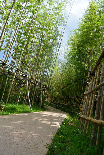 resize0409 写真: resize0409