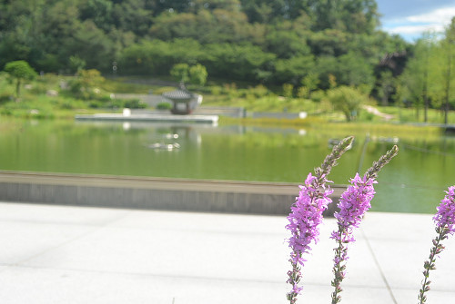 resize0412 写真: resize0412