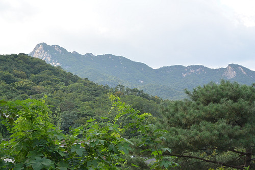 resize0811 写真: resize0811