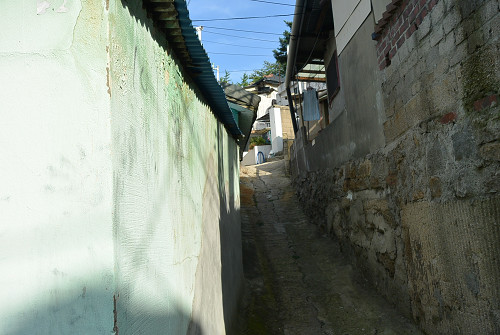 resize0816 写真: resize0816