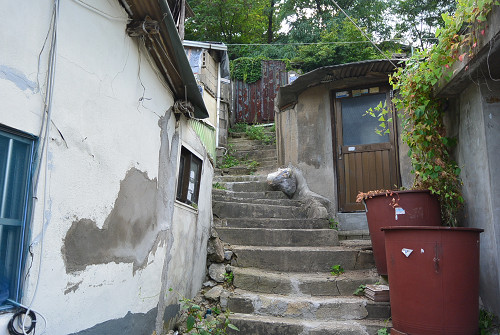 resize0822 写真: resize0822