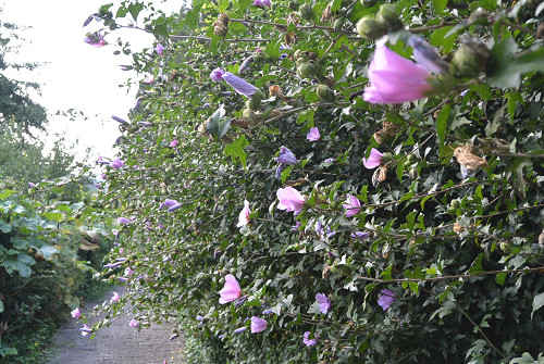 resize0823 写真: resize0823