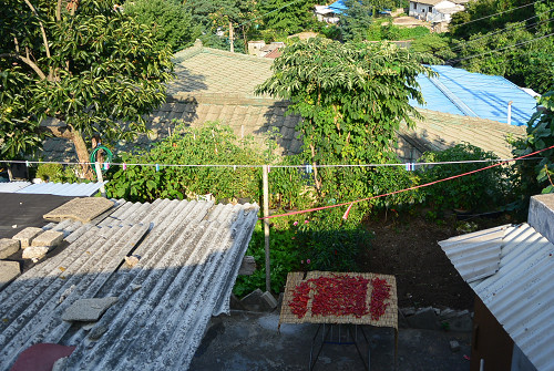 resize0831 写真: resize0831