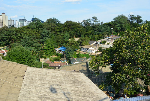resize0832 写真: resize0832