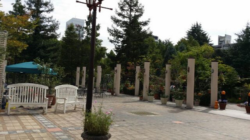 resize0951 写真: resize0951