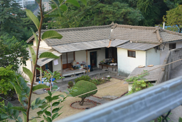 resize4423 写真: resize4423