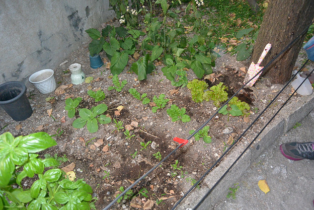 resize4430 写真: resize4430