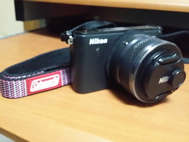resize3582 写真: resize3582
