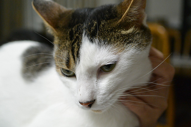 resize3589 写真: resize3589