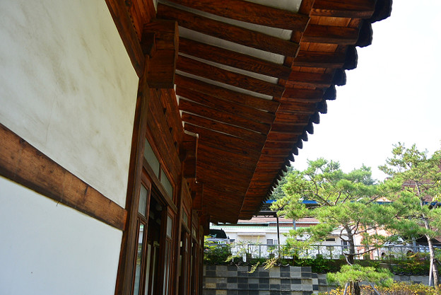 resize4630 写真: resize4630