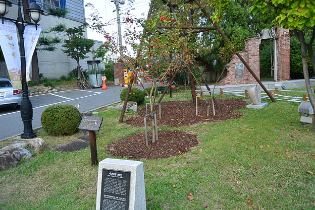 resize4705 写真: resize4705
