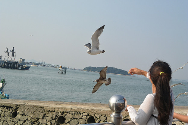 resize4906 写真: resize4906