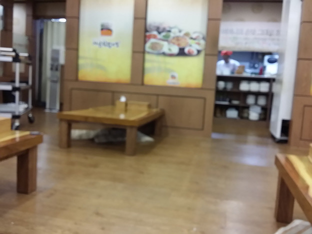 resize5923 写真: resize5923