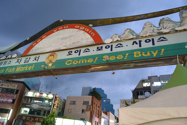 resize5239 写真: resize5239