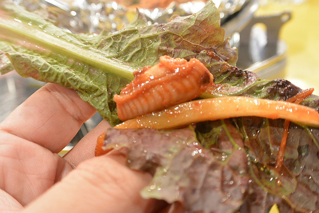 resize5257 写真: resize5257