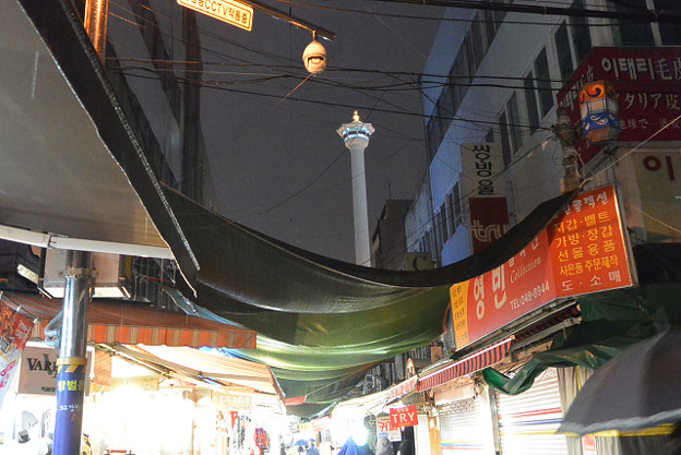 resize5296 写真: resize5296