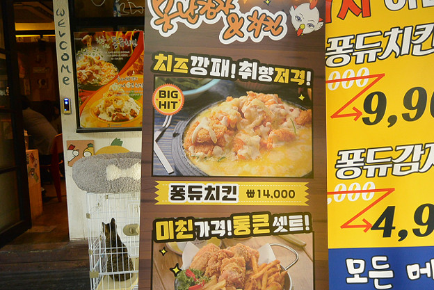 resize5339 写真: resize5339