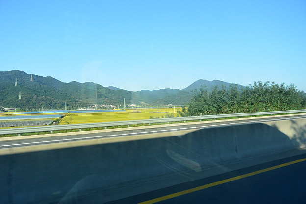 resize5379 写真: resize5379