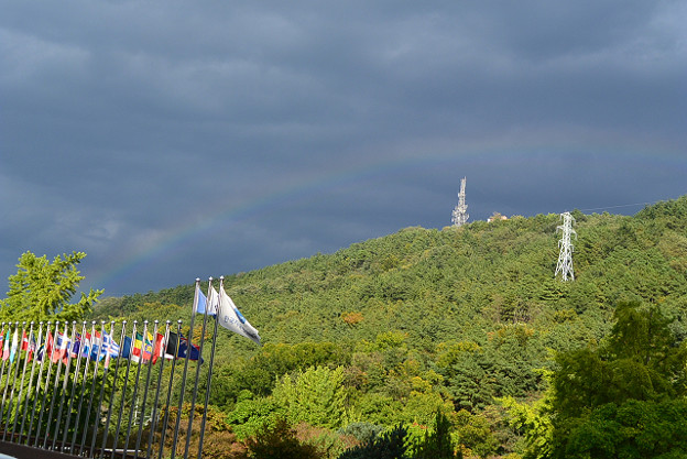 resize5577 写真: resize5577